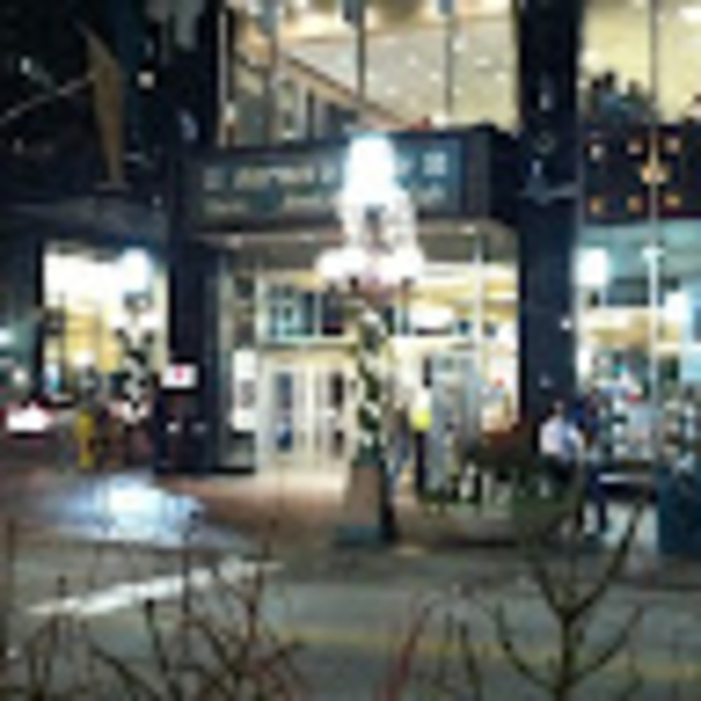 Meet your Posher, Ann marie